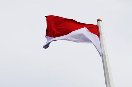 抖音影片傳撤離35萬在台公民　印尼外交部否認