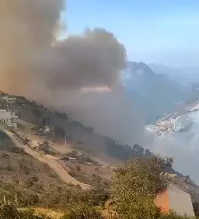 影/墨西哥中部突發森林大火釀1死　強風助長火勢當局緊急疏散150人
