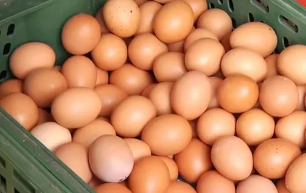 雞蛋「產量回穩」價格仍高　蛋商公會曝「這原因」：回不去了