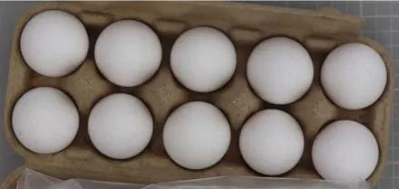 土耳其雞蛋12萬公斤全數銷毀　還會進口？食藥署：回覆最新近況