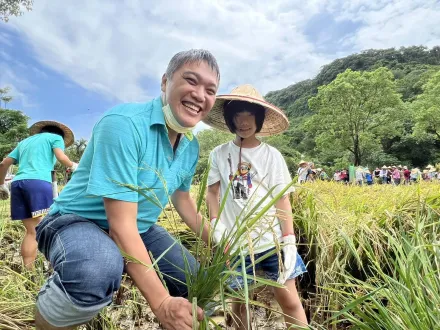 汐止區農會傳承農村記憶　邀「小小農夫」體驗割稻