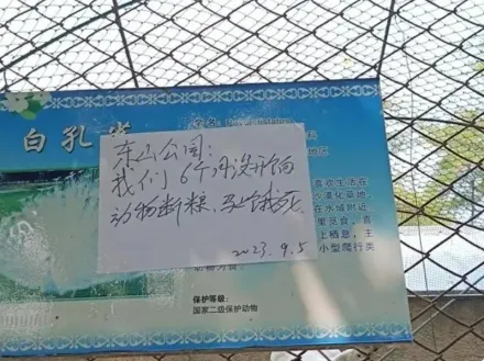 動物斷糧快餓死、飼養員半年沒工資　遼寧一動物園慘貼告示求助…原因曝光