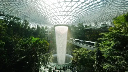 全球首發！新加坡樟宜機場將試辦「自動化驗證」　部份旅客明年起出入境可免護照