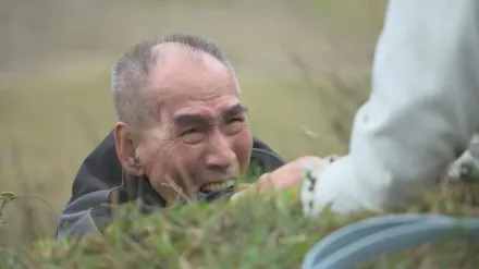 79歲張柏舟拍戲「滾下山坡」被割傷！拒用替身驚險畫面曝