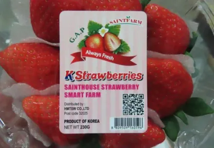 韓國近2年首次出現「不合格」！「日本草莓」連2周出包食藥署實施最嚴格查驗
