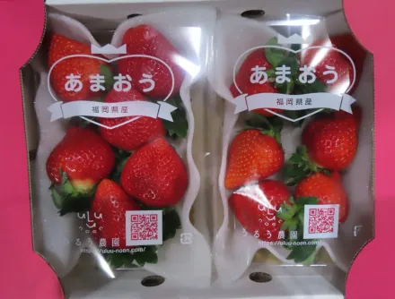 快訊/日本草莓5批不合格！食藥署宣布「5大製造廠」禁止輸台1個月