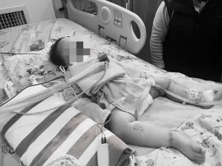 11月大男嬰遭濕口罩悶死擇日解剖　家屬同意器捐「心臟遺愛人間」