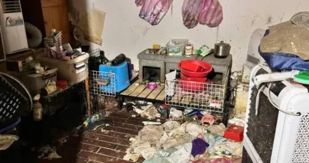 房東見滿屋垃圾還有 「數十具貓狗乾屍」　女租客搞消失辯：餓死的