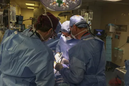 醫學界創舉！美國為62歲洗腎男成功移植「豬腎」