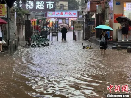廣東連4日暴雨！街道淹成河　廣州急疏散279人…民眾清明假期「全泡湯」