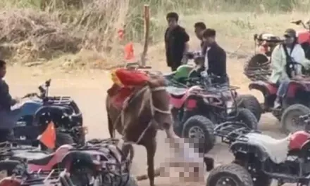 「馬生意」釀悲劇！男孩騎馬被拖行數百米後身亡　警方逮捕涉事馬主