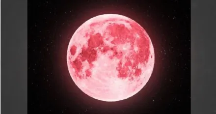 今晚7時22分！奇景「粉紅月亮」現身馬來西亞