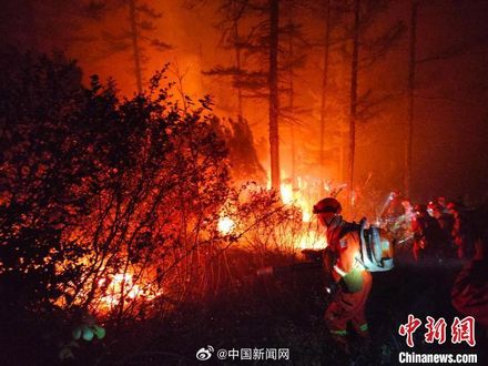 影/乾旱釀災！內蒙古森林大火「多點集中爆發」　動員5千名消防員撲救
