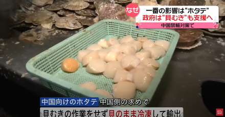 北海道10萬份干貝無法出口至大陸　政府出資收購供學校製作「營養午餐」