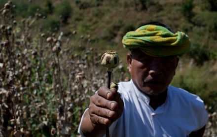 聯合國：緬甸成全球最大鴉片來源國　2原因致年產量激增超越阿富汗