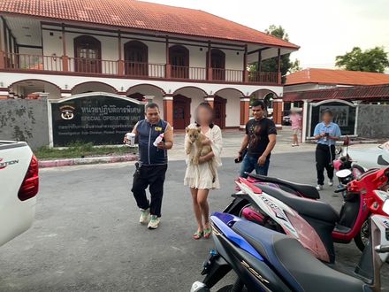 普吉島飯店內「非法養幼獅」當寵物　陸女「高調炫獅」遭泰當局逮捕