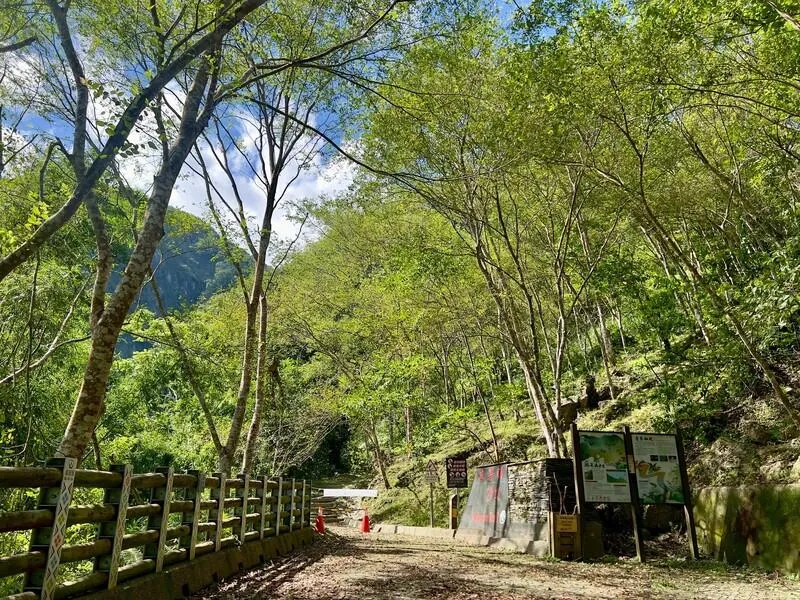楊柳風災重創林保署加快搶修　台東麻荖漏步道開放了