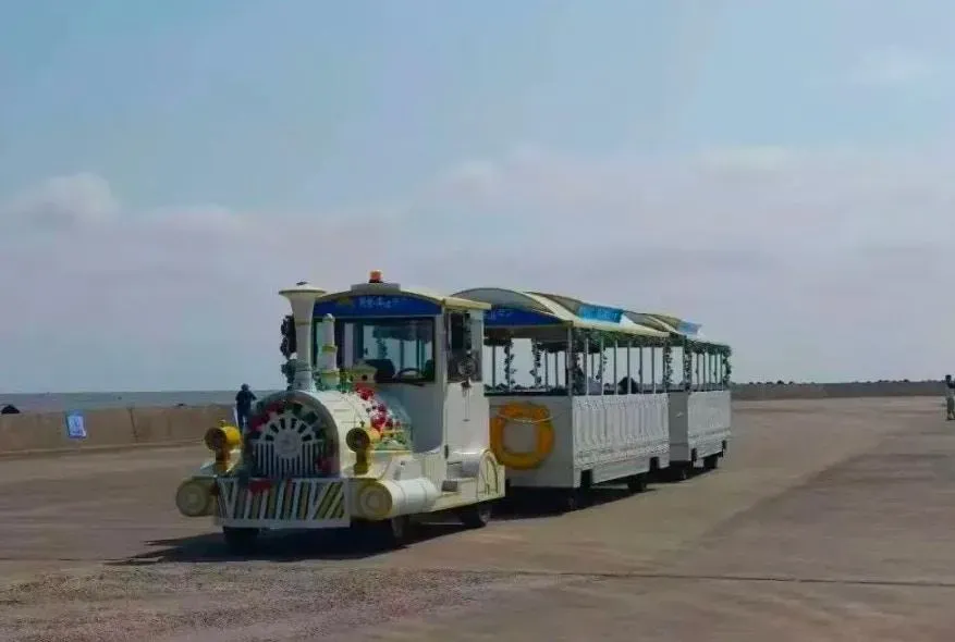 「一車人被捲走」！江蘇觀光小火車傳遇大浪墜海　釀4死多傷