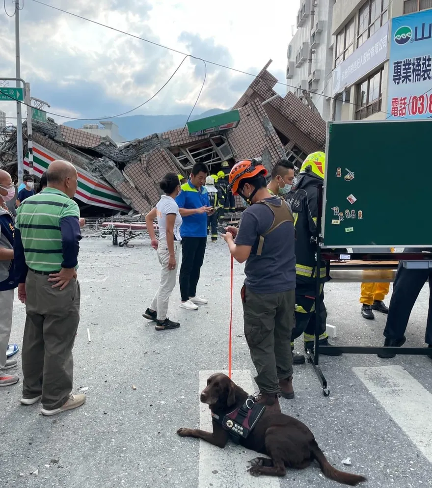 地震好可怕！你有「創傷後壓力症候群」嗎？專家揭「4症狀」自我檢測