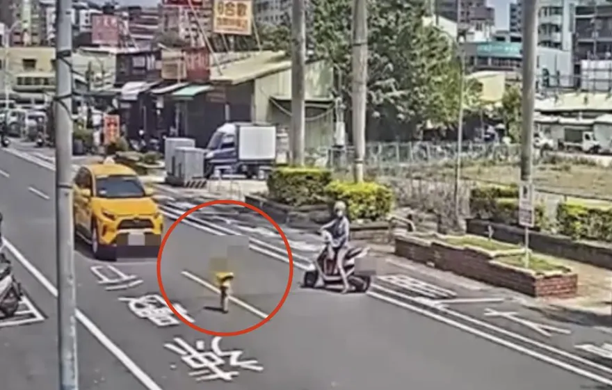 暖心！3歲童與父走失驚險穿越馬路　警員化身「大哥哥」抱著他執勤