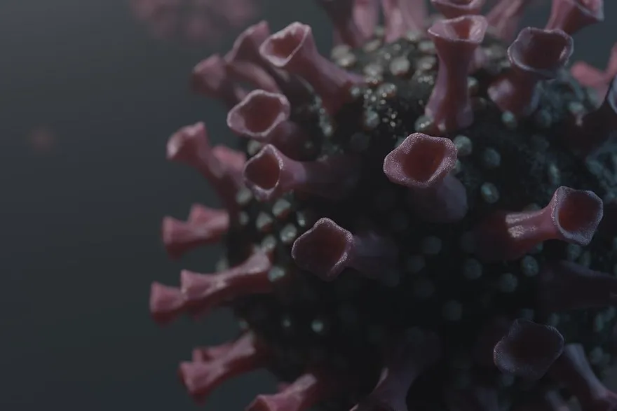 Omicron亞型變異株來勢洶洶　感染科名醫：這招能降低風險