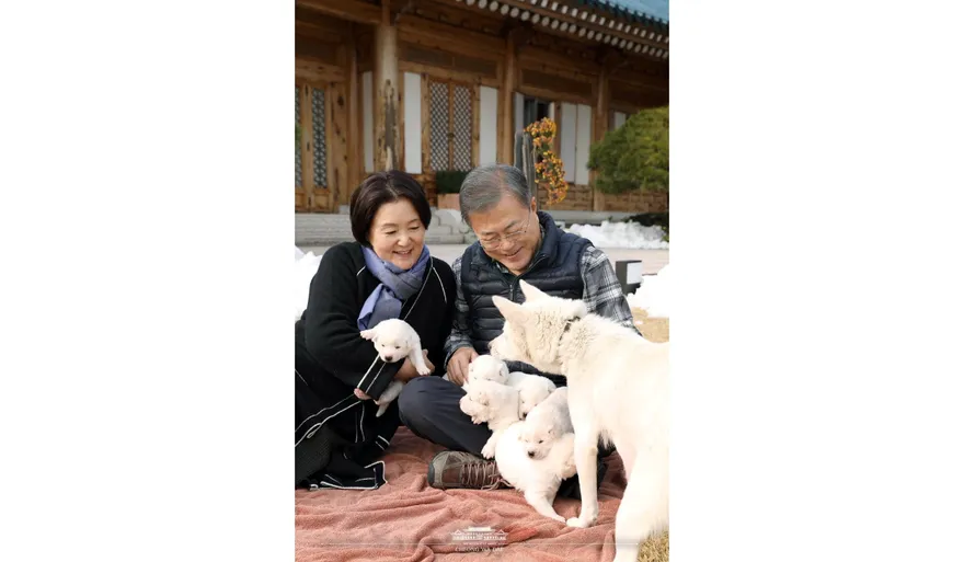 金正恩贈送的小狗誰負責養？南韓前總統文在寅摃上內政部