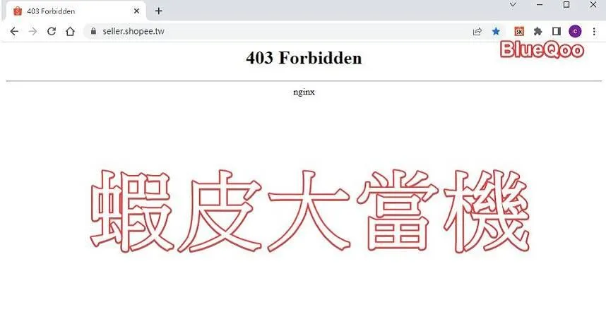 快訊/蝦皮官網驚傳當機！用戶哀嚎　官方回應了