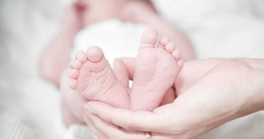 每十位有一位！「早產兒」比例10年提升1.5％　原因曝