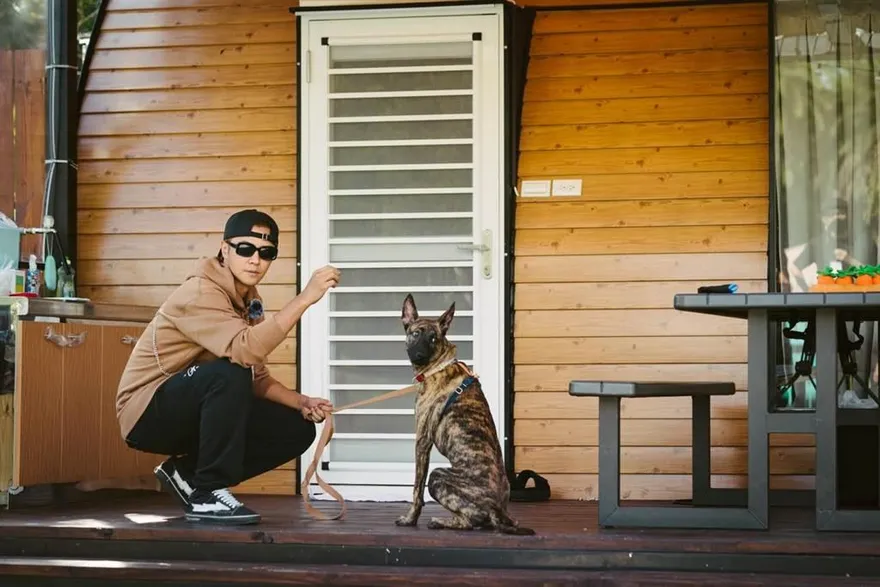 羅志祥暌違2年現身台綜實境秀　自認與浪浪能像兄弟般相處