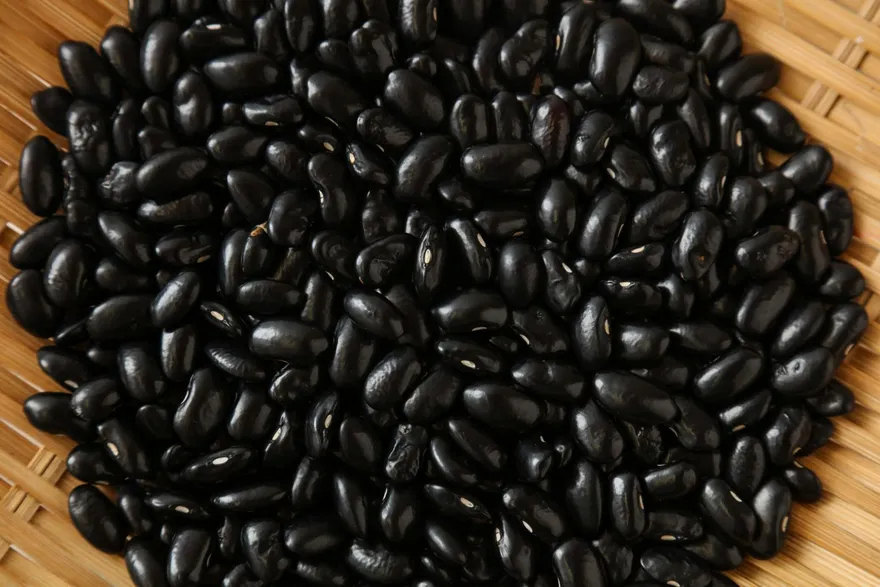 吃黑食苦!黑色「補腎」苦食「去火潤燥」！節氣進入「大雪」專家建議2飲食原則