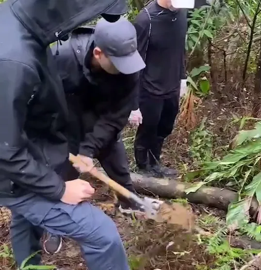 【影】信義區男自家豪宅離奇「失蹤」！檢警將其弟依殺人罪聲押　法官卻把他飭回