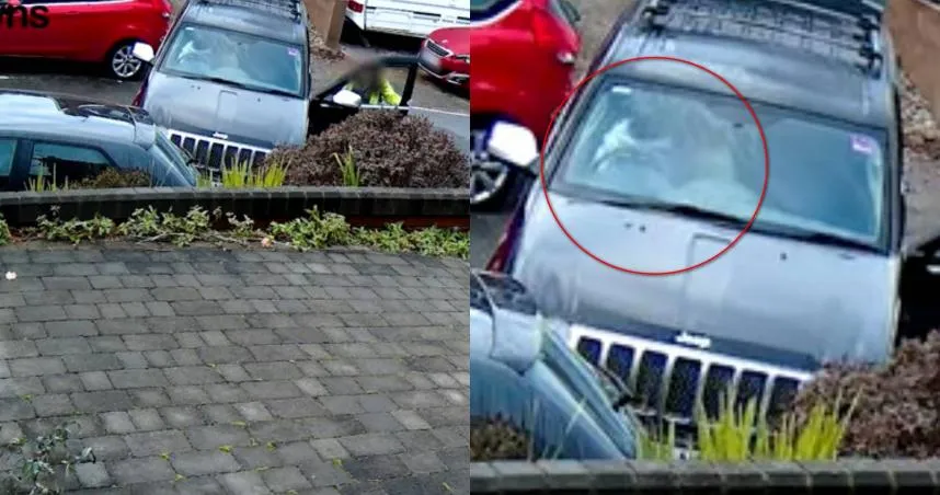 英國離奇車禍！吉普車莫名撞擊路邊車輛　天兵駕駛竟是一隻狗