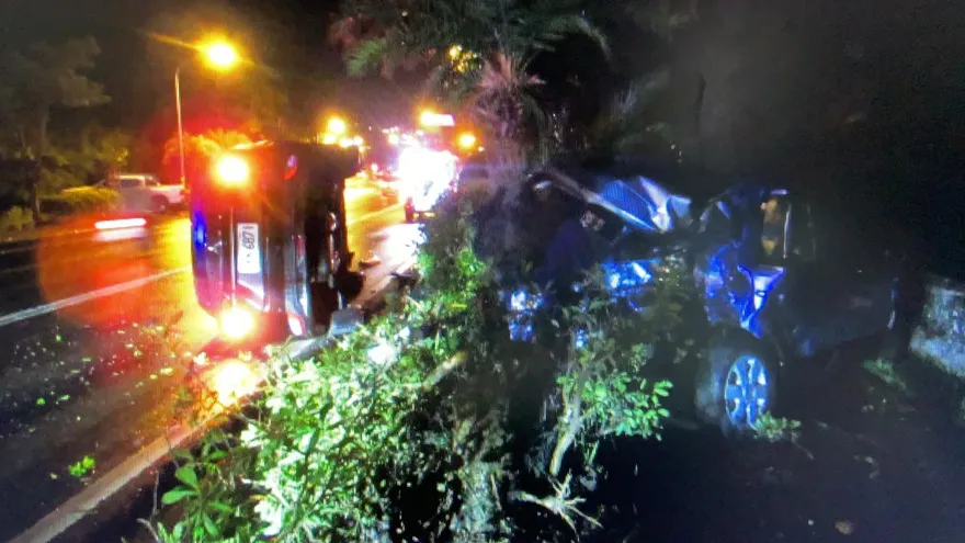 影/迎曙光翻車！94年次駕駛恍神　墾丁南灣跨年「側翻躺路中」