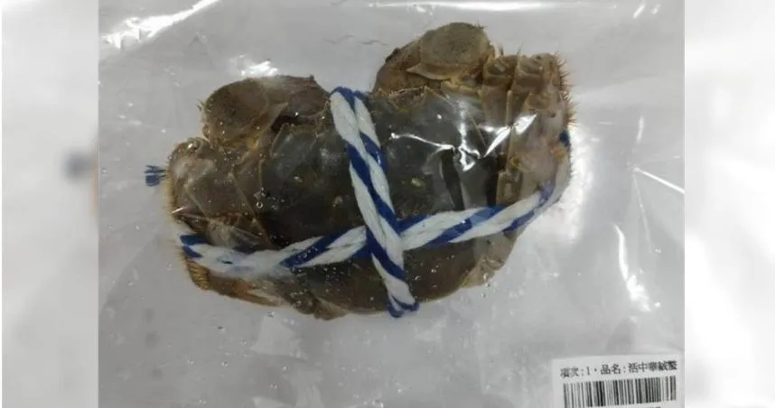 2年來首批戴奧辛含量「超標」產品　6400公斤陸大閘蟹被銷毀！