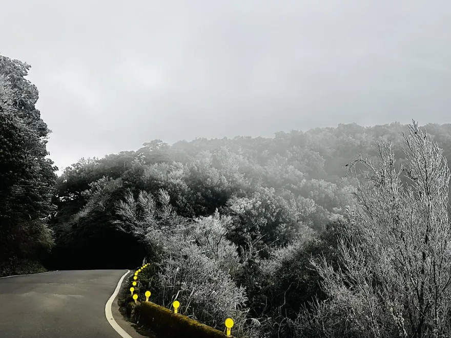 影/超美！新竹這裡也下雪「累積整晚」　現場白茫茫一片…現場照曝光