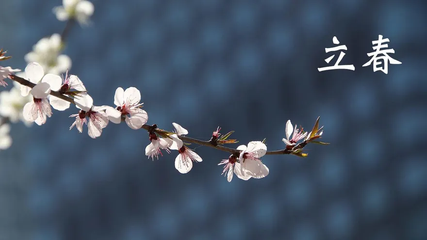 忍！今「立春」這五生肖要禁慾！千萬別行房　4生肖得小心恐得「腸胃炎」