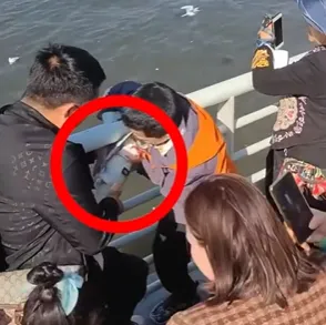 影/太誇張！男童強抓海鷗硬塞瓶中　父母未阻止反出手相助惹怒全網