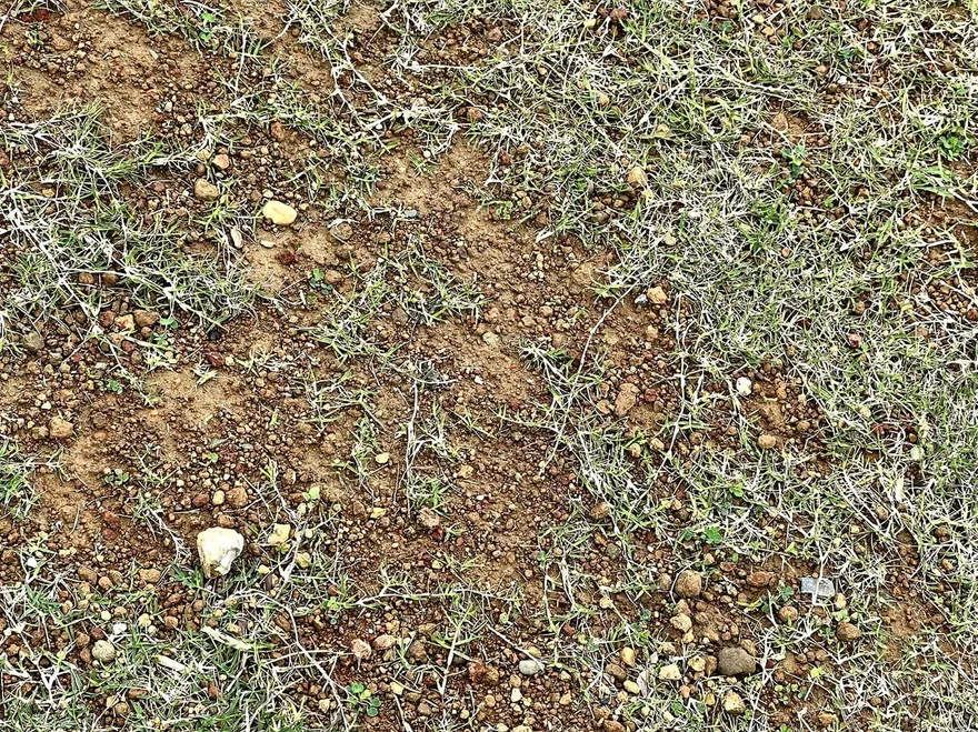 新竹大秘寶挖不完！高虹安會勘上億足球場結果嚇死人