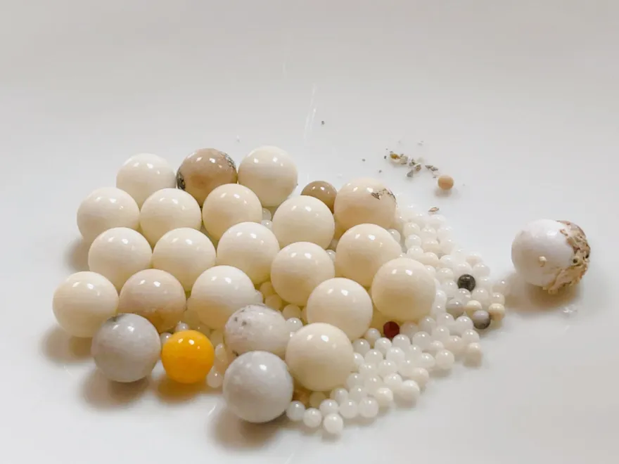 曝星雲大師舍利子　媒體人轟佛光山：不顧師父叮囑「此為惡例」