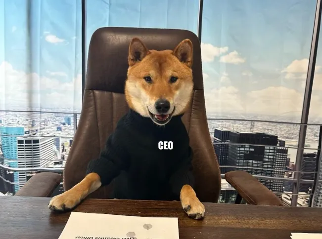 見過推特新「總柴」！馬斯克拱愛犬當CEO　笑稱「牠比其他傢伙好多了」
