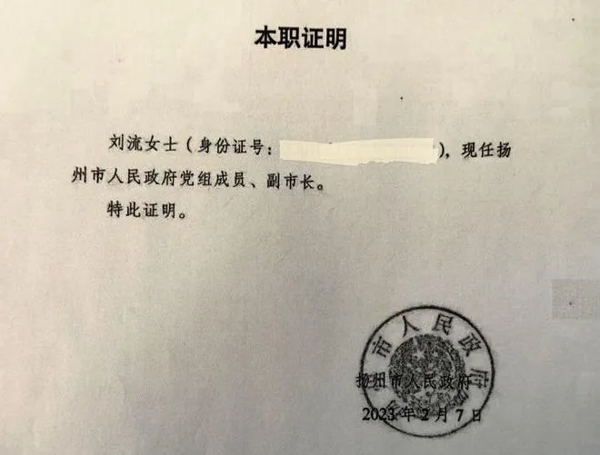 陸星雲弔唁團員身份造假？陸媒曝「這公文」打臉台方控遭刁難