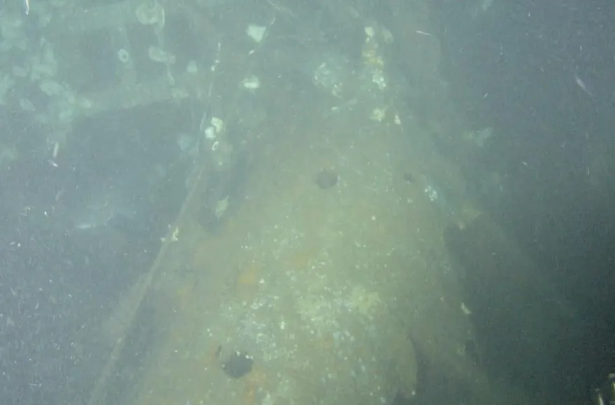 影/曾擊沉航母「大鳳號」等10艘敵艦戰功彪炳！美軍二戰傳奇潛艦「青花魚號」證實尋獲