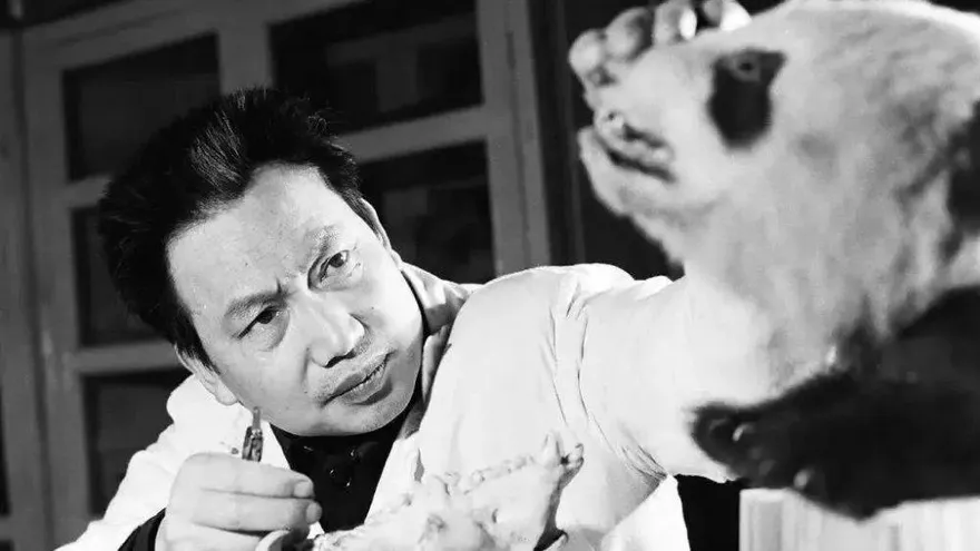 影/大陸「熊貓之父」胡錦矗逝世享年94歲　創「胡氏方法」開拓研究國寶先河