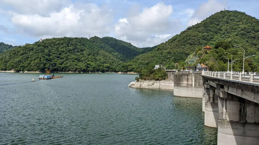 山老鼠石門水庫扛「114kg肖楠木」！警喬裝釣客逮4嫌
