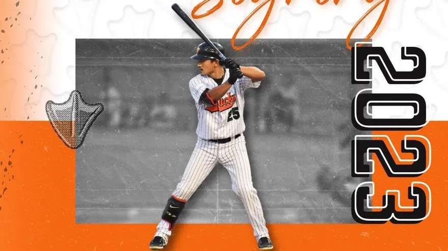 剛過完生日傳喜訊！林子偉找到球隊　「子海嘯」重返長島鴨