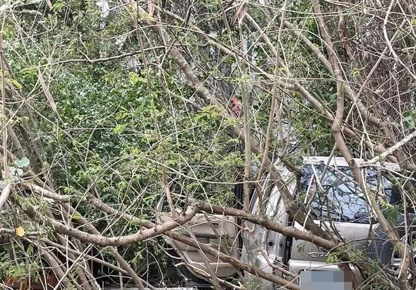 快訊/苗栗頭份驚傳休旅車墜橋　駕駛失去生命跡象送醫搶救中