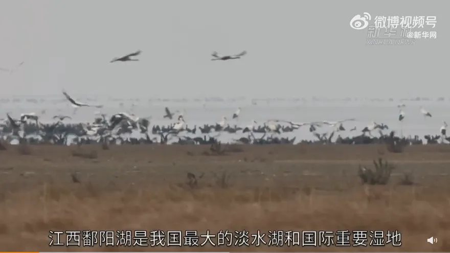 大陸最大淡水湖鄱陽湖現枯水危機　鄰省雲南工廠限電難捱