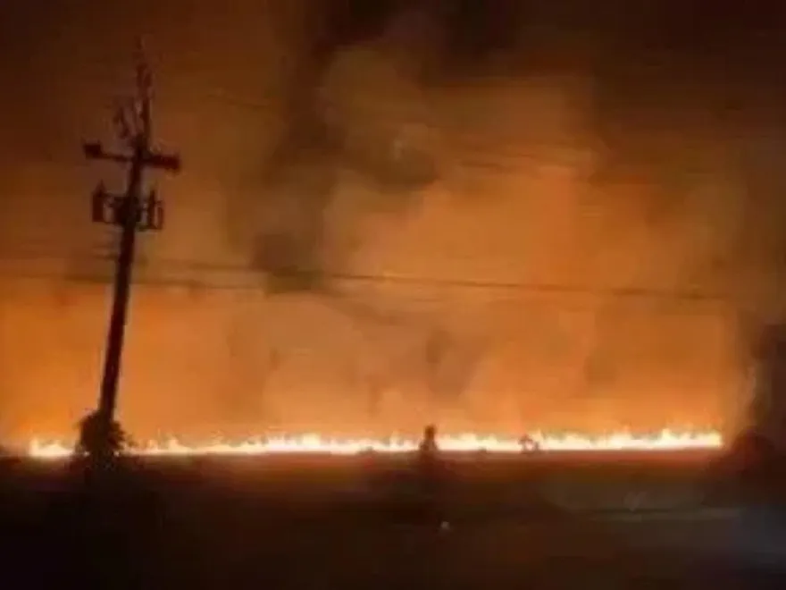 影/高雄大樹驚見「火焰長城」　驚動陳其邁在日本越洋電話關切