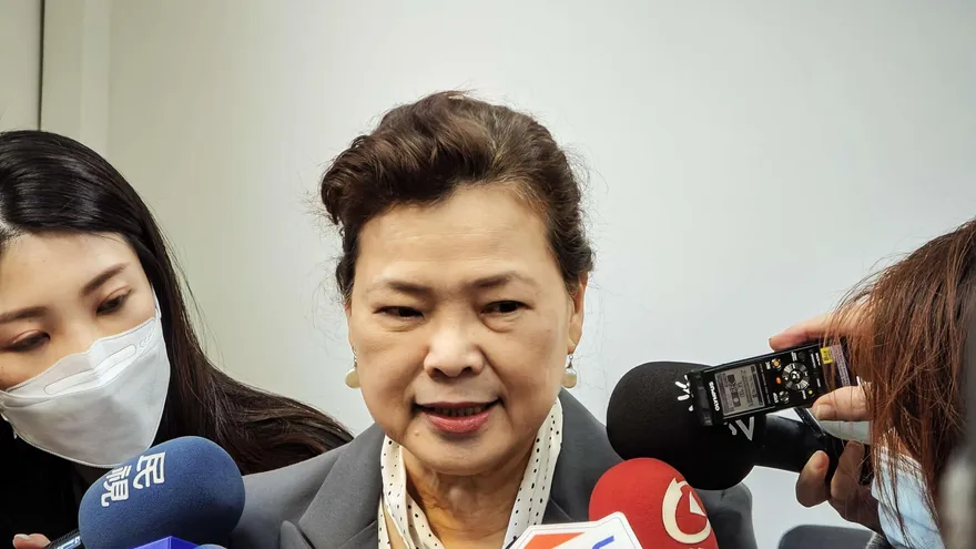 電價漲定了？王美花：要考量台電和物價穩定