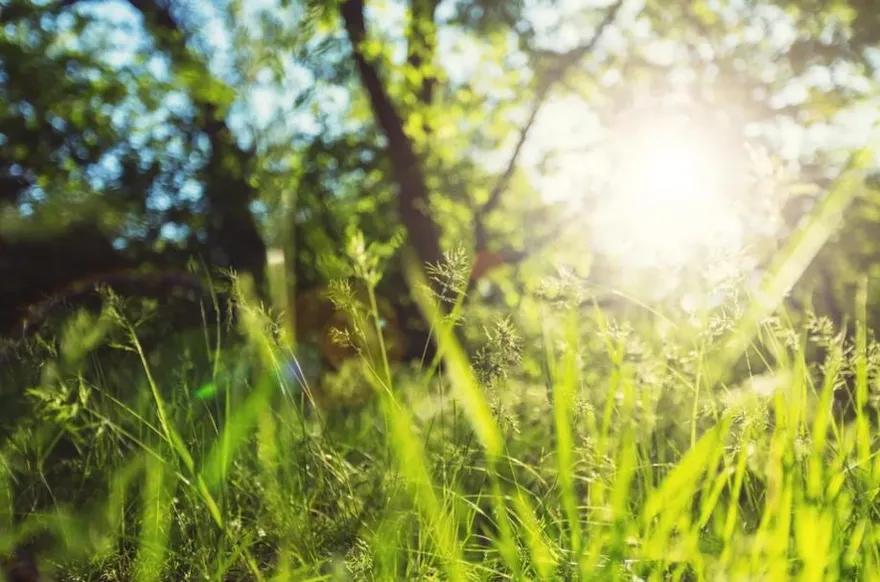 容易生病《舊疾復發》的節氣！三要三不做 春分3禁忌看這邊！